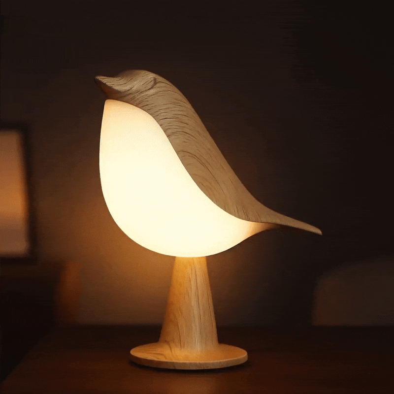 BirdZen — L'oiseau qui veille sur vos soirées